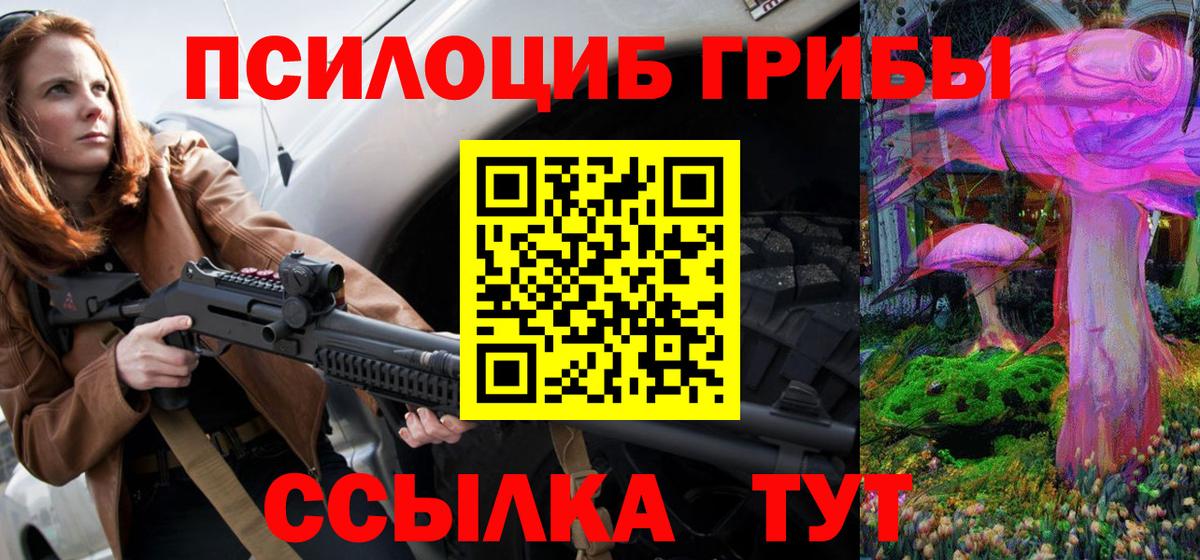 Галлюциногенные грибы Psilocybe Таганрог